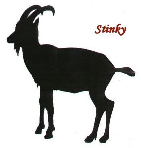 Stinky Goat